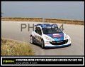 1 Peugeot 207 S2000 P.Andreucci - A.Andreussi (25)